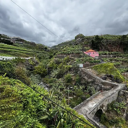 Wolf View Câmara de Lobos